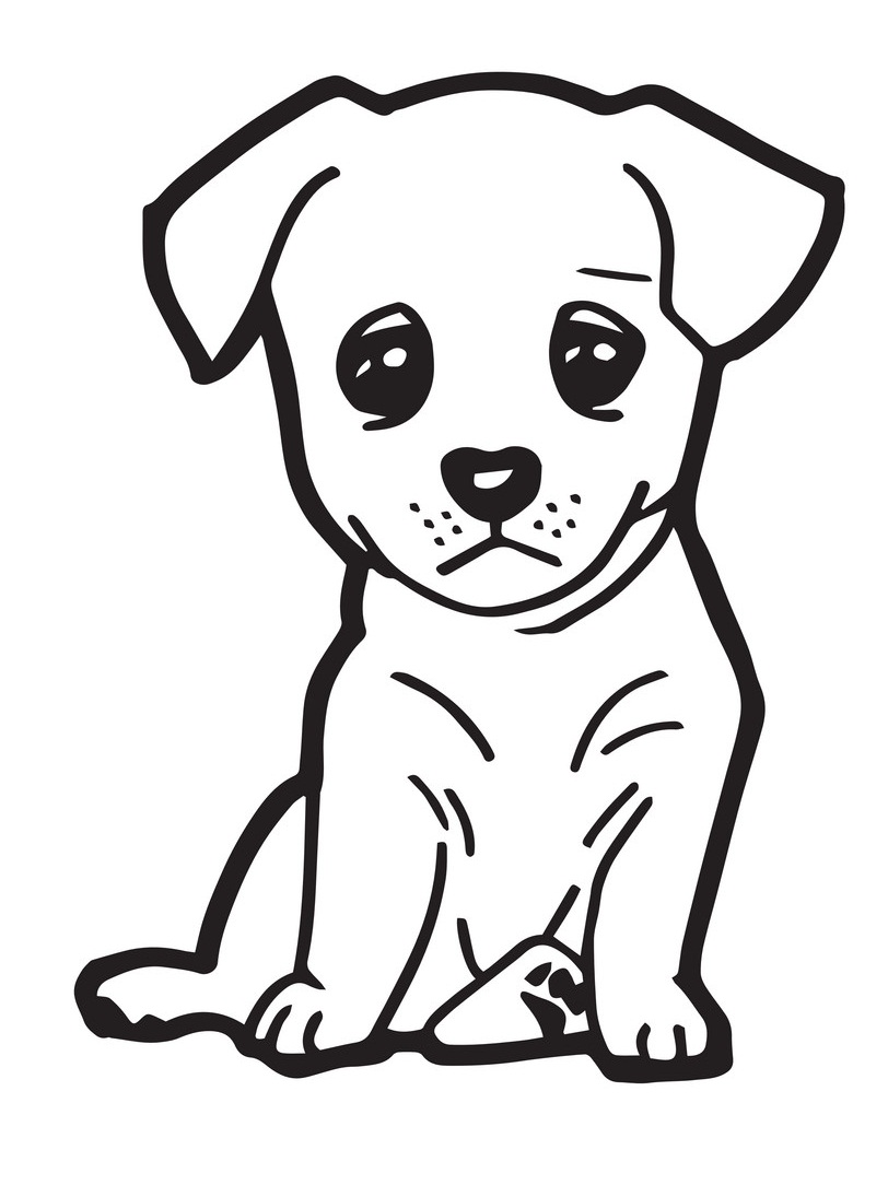 Desenhos de Cachorro Fofinho para colorir