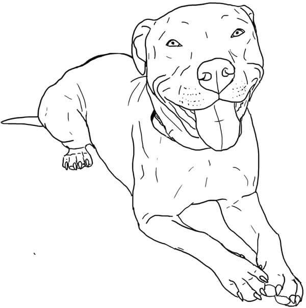 Desenhos de Cachorro Fofo Deitado para colorir