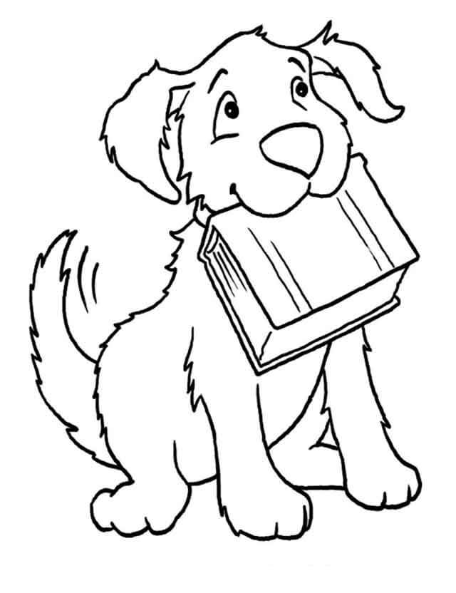Desenhos de Cachorro segurando um Livro para colorir