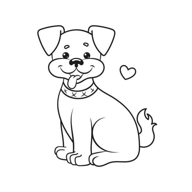 Desenhos de Cão Básico para colorir