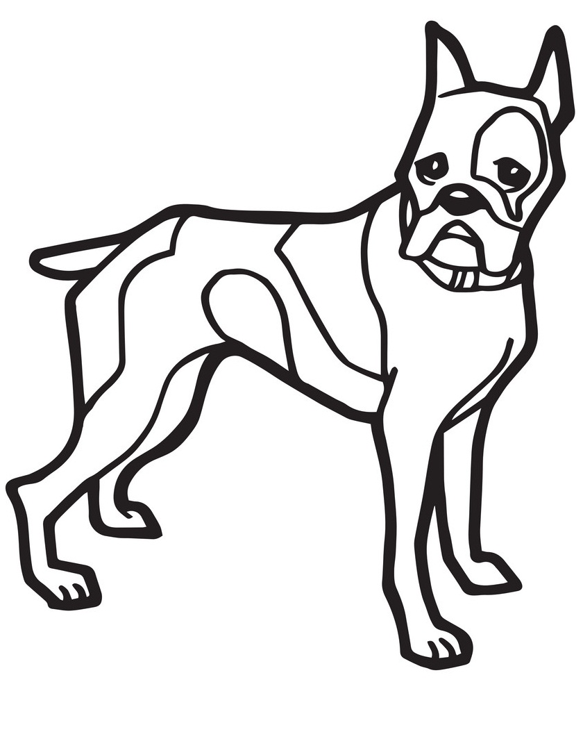Cão Boxer para colorir