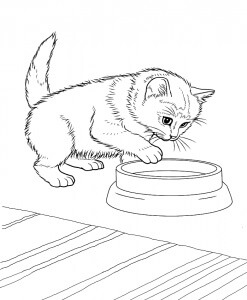 Desenhos de Gatinho Com Uma Tigela para colorir
