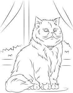 Desenhos de Gato Árabe para colorir