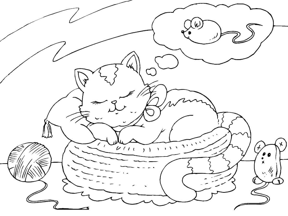 Desenhos de Gato Dormindo para colorir
