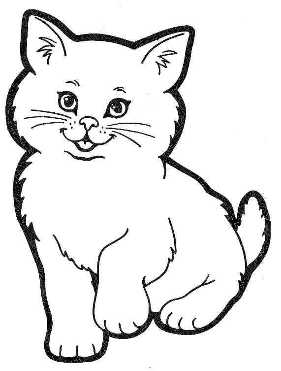 Desenhos de Gato Engraçado para colorir
