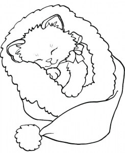 Desenhos de Gato Fofo Dormindo para colorir