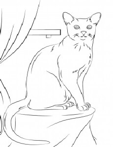 Desenhos de Gato Sentado na mesa para colorir