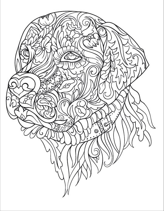 Desenhos de Mandala de Cabeça de Cachorro para colorir