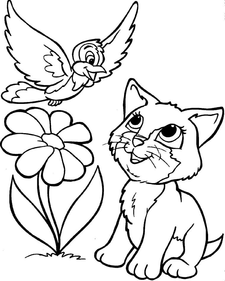 Pássaro e Gato Com Flor para colorir