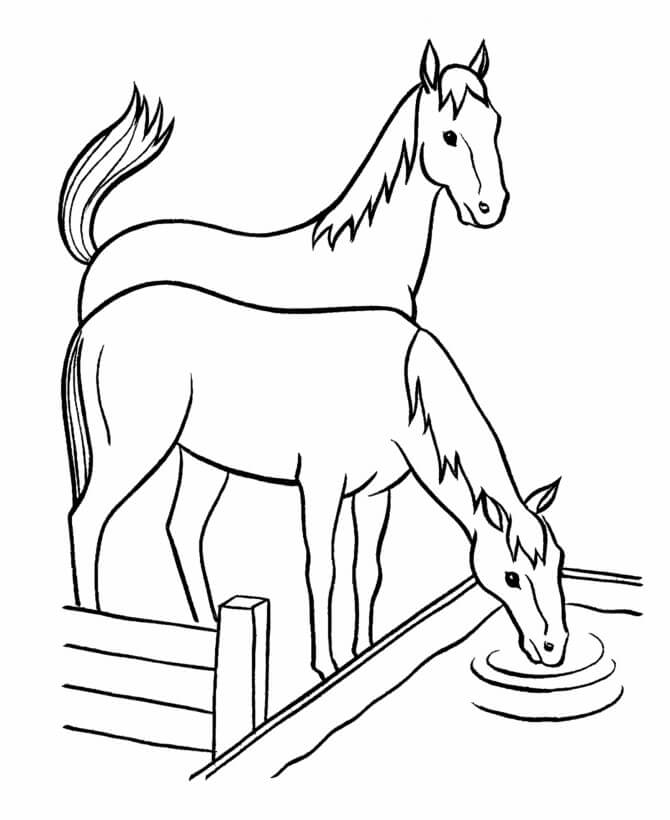 Desenhos de Água Potável Cavalo para colorir