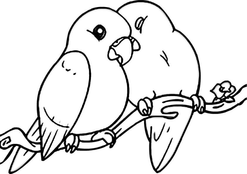 Desenhos de Casal de Pássaros para colorir