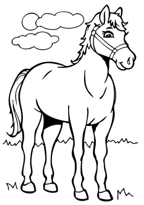 Cavalo Americano Saddlebred para colorir