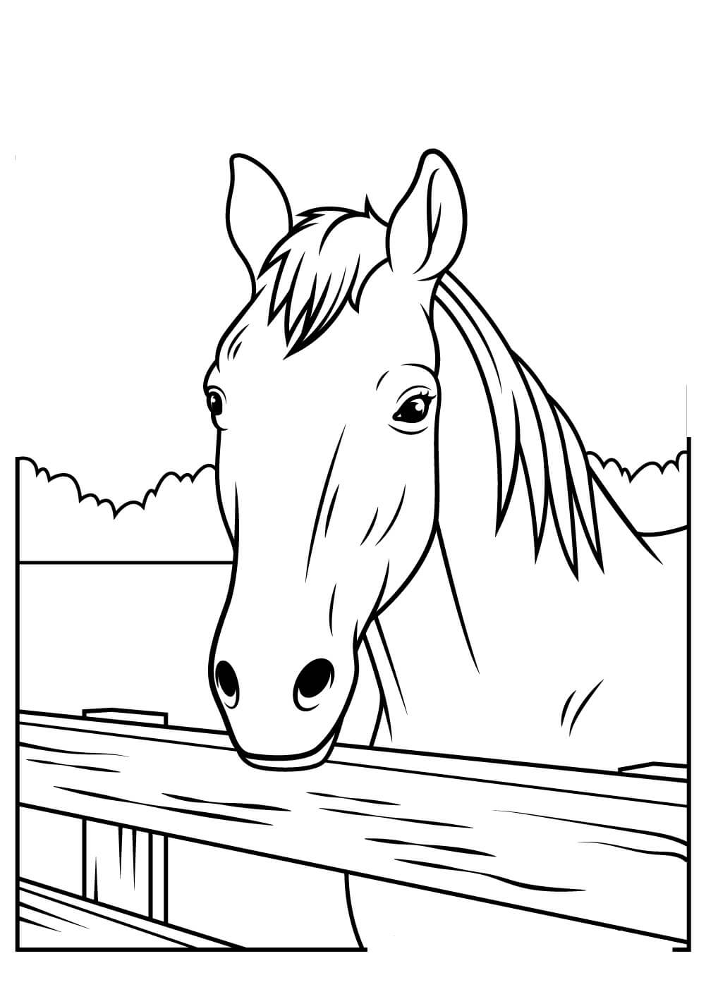 Cavalo Cabeça para colorir