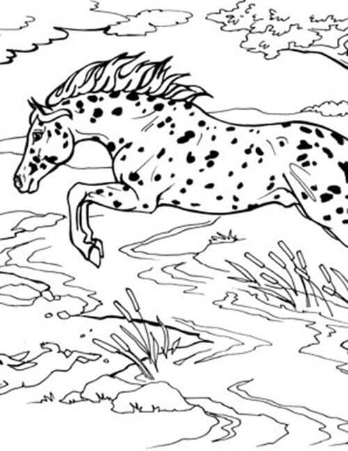 Desenhos de Cavalo Legal Pulando para colorir