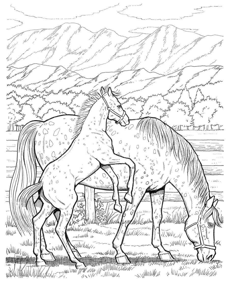 Cavalo Mãe e Filho Comendo Grama para colorir
