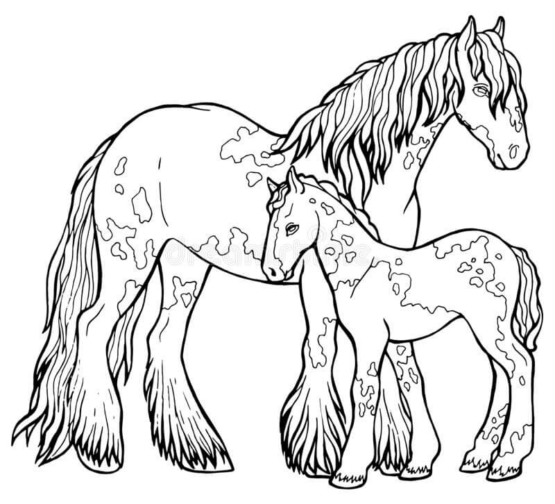 Cavalo Mãe e Filho para colorir