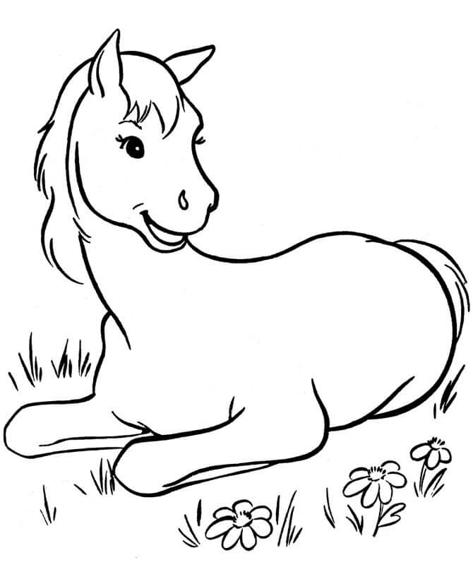 Cavalo Sentado para colorir