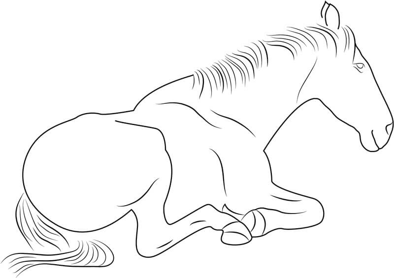 Desenhos de Cavalo Sentado para colorir