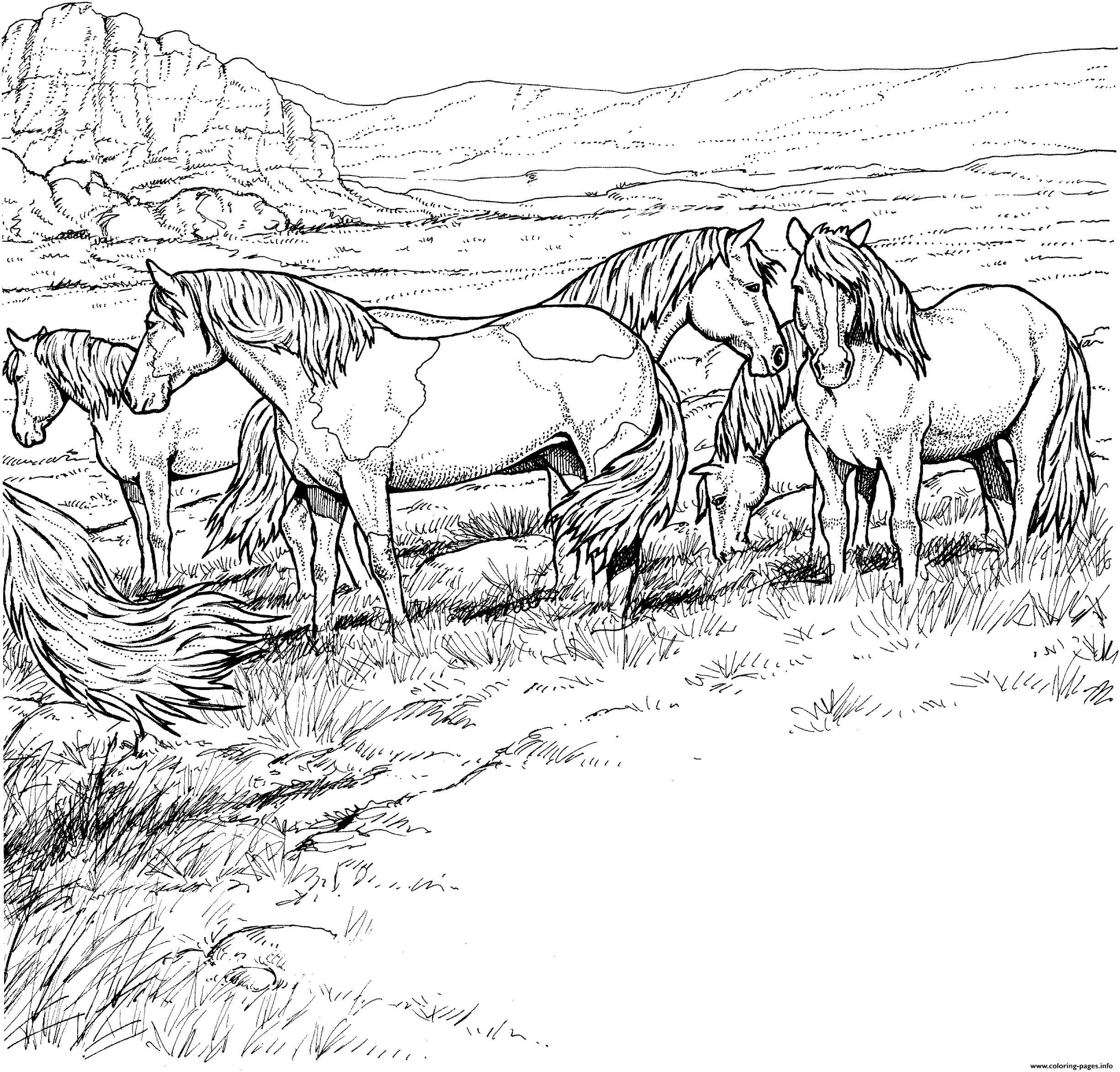 Desenhos de Cavalo de Carga para colorir