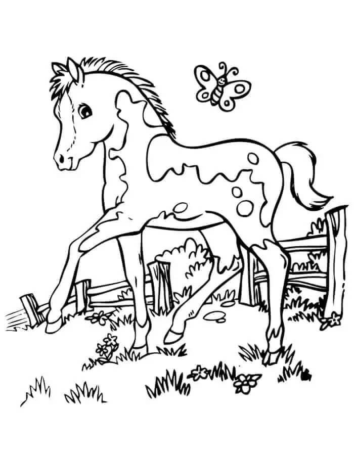Cavalo e Borboleta para colorir