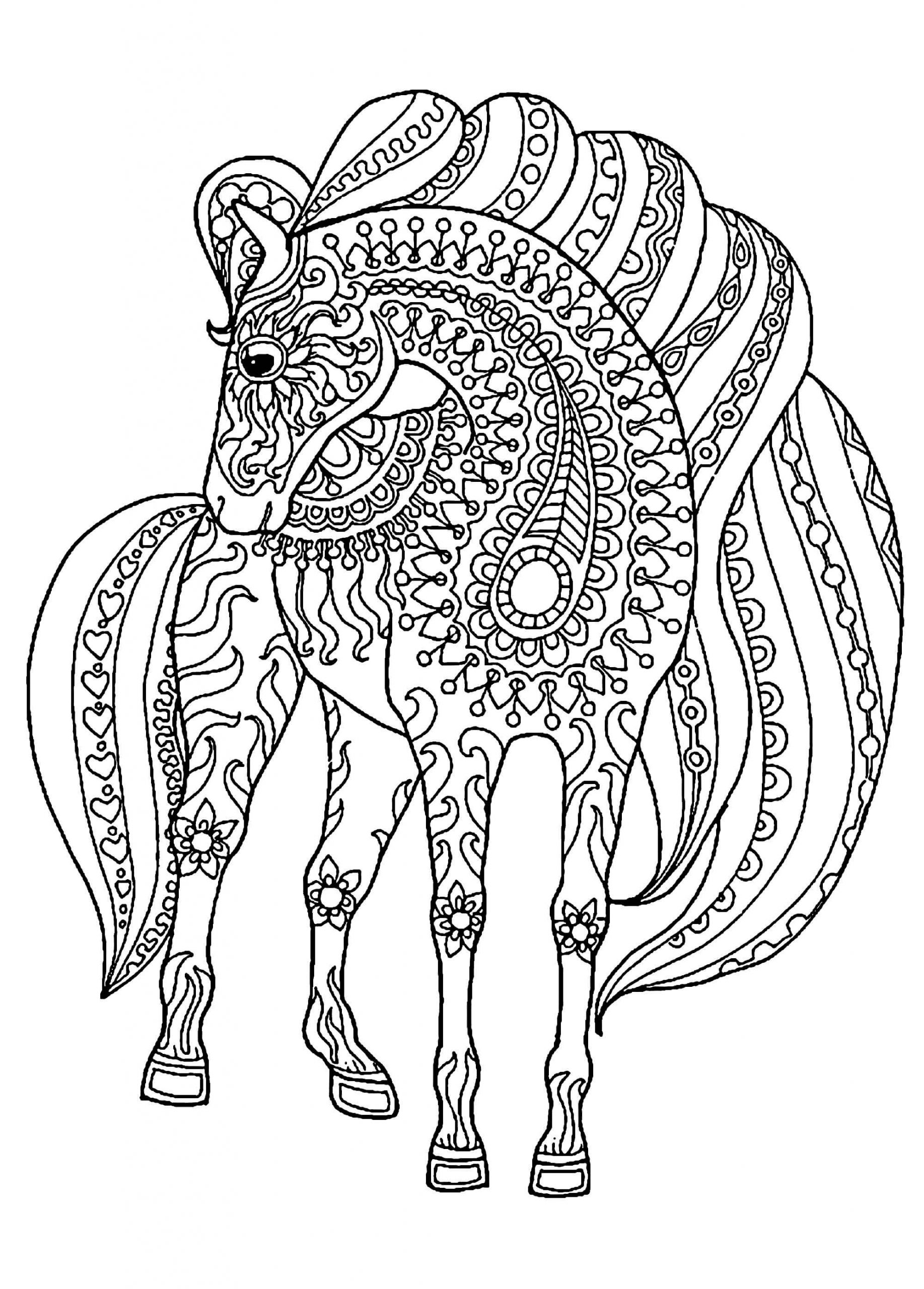 Desenhos de Cavalo para Adulto para colorir