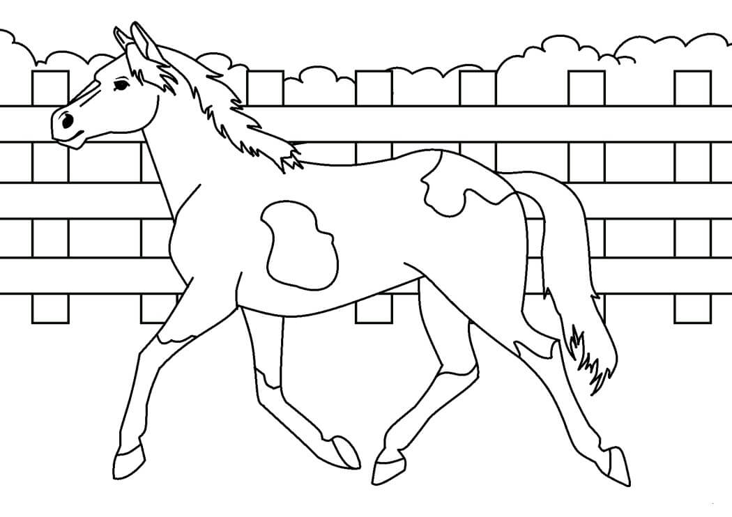 Cavalo para Impressão para colorir