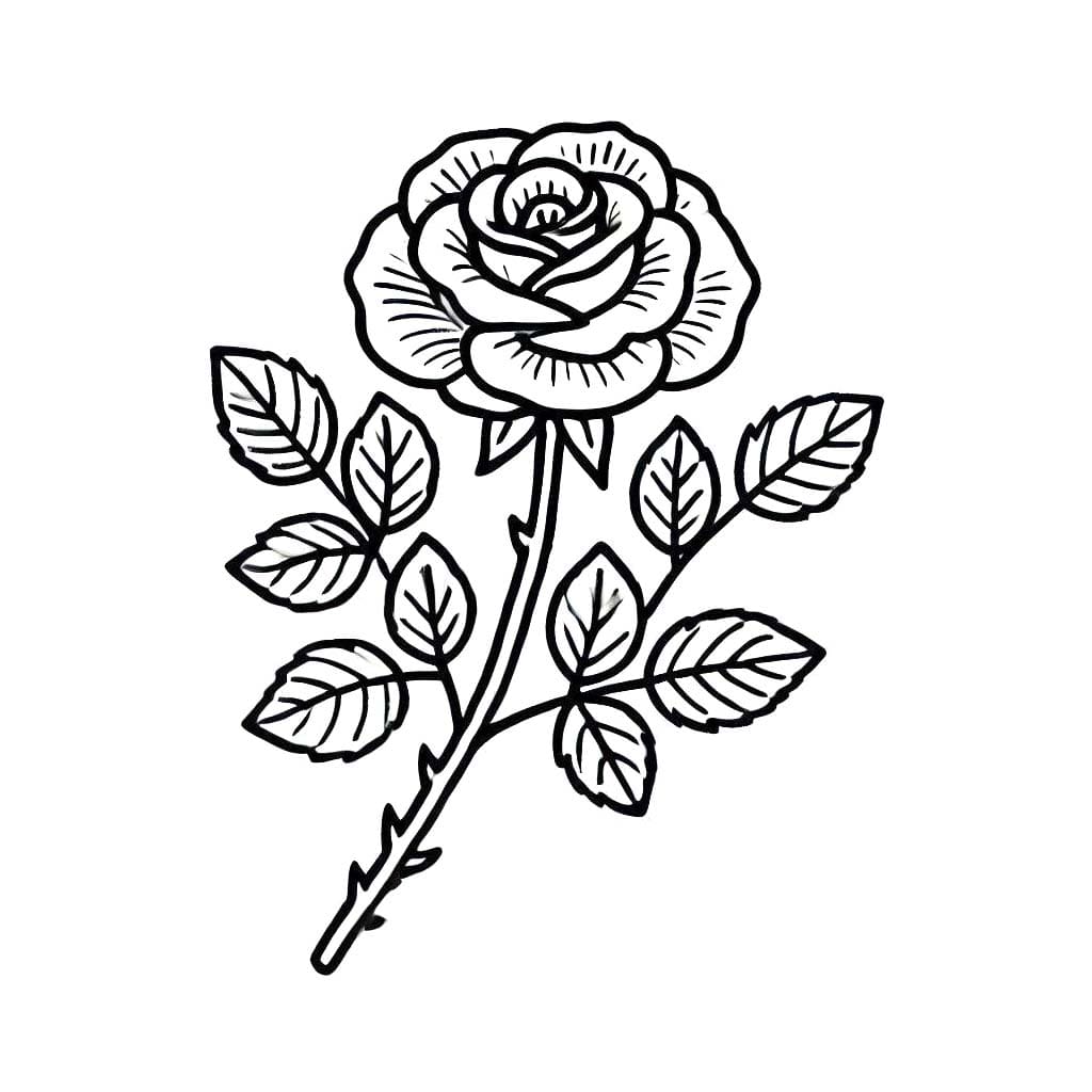 Desenhos de Desenhar rosas básico para colorir