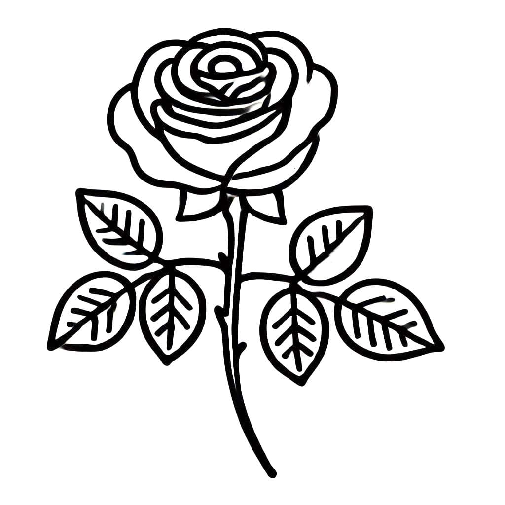 Desenhos de Desenhar rosas grátis para colorir