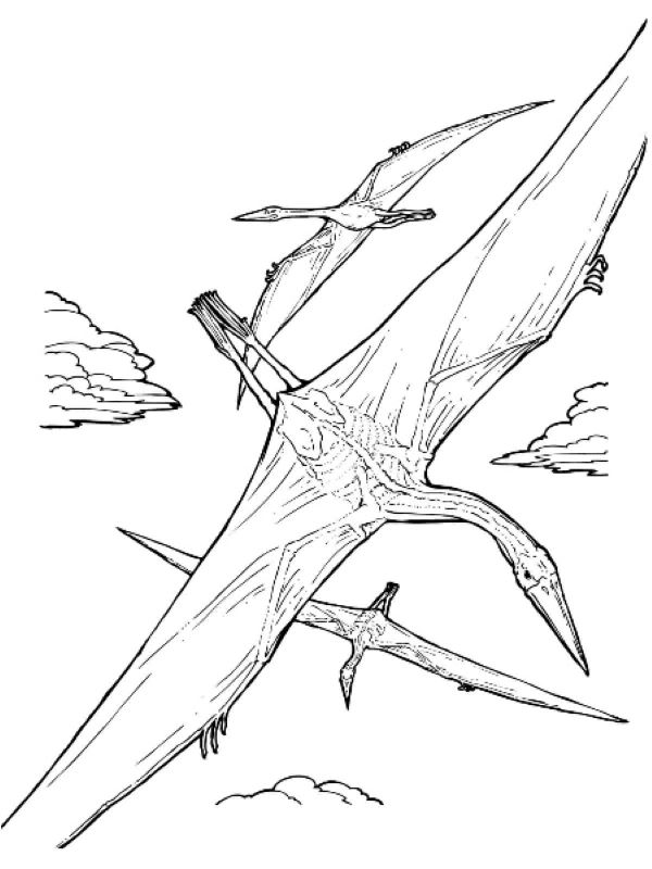 Desenhe Quetzalcoatlus para colorir