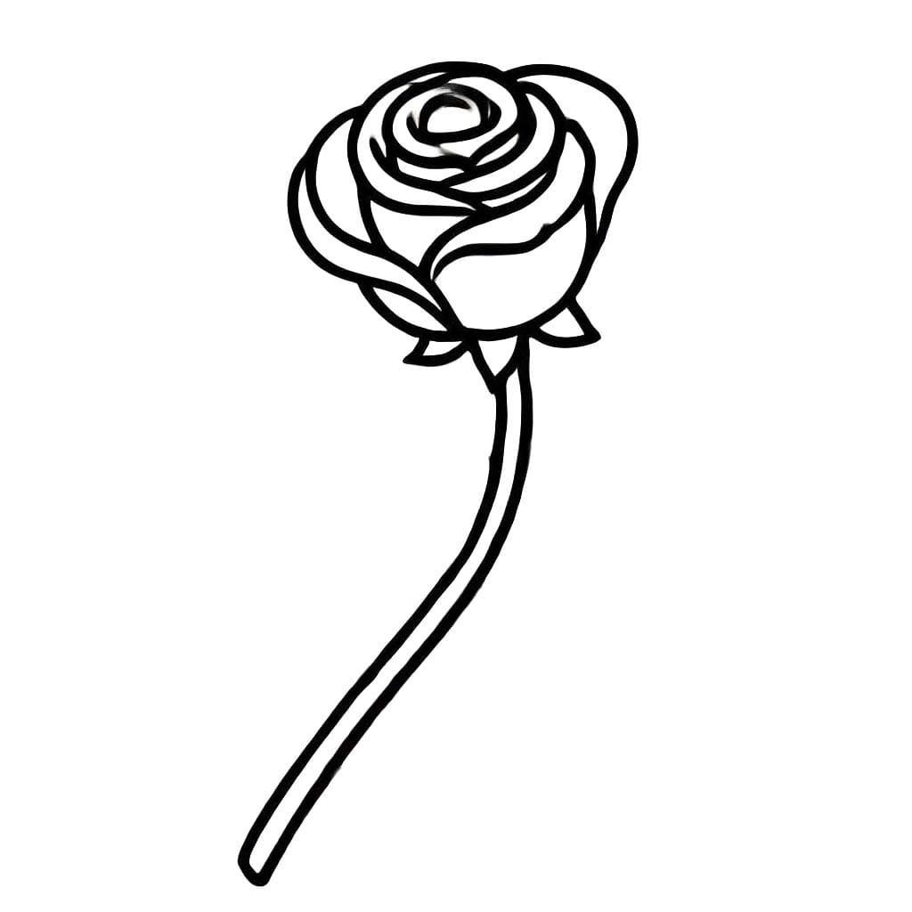 Desenhos de Desenhe Rosas 6 para colorir