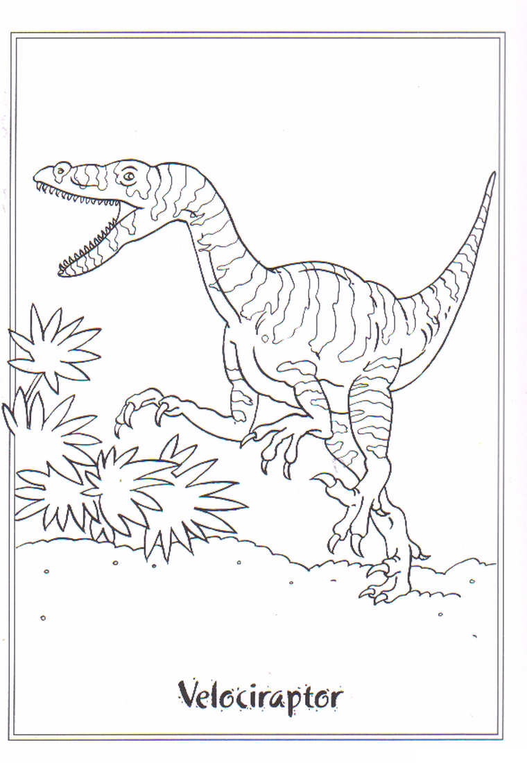 Desenhe Velociraptor para colorir