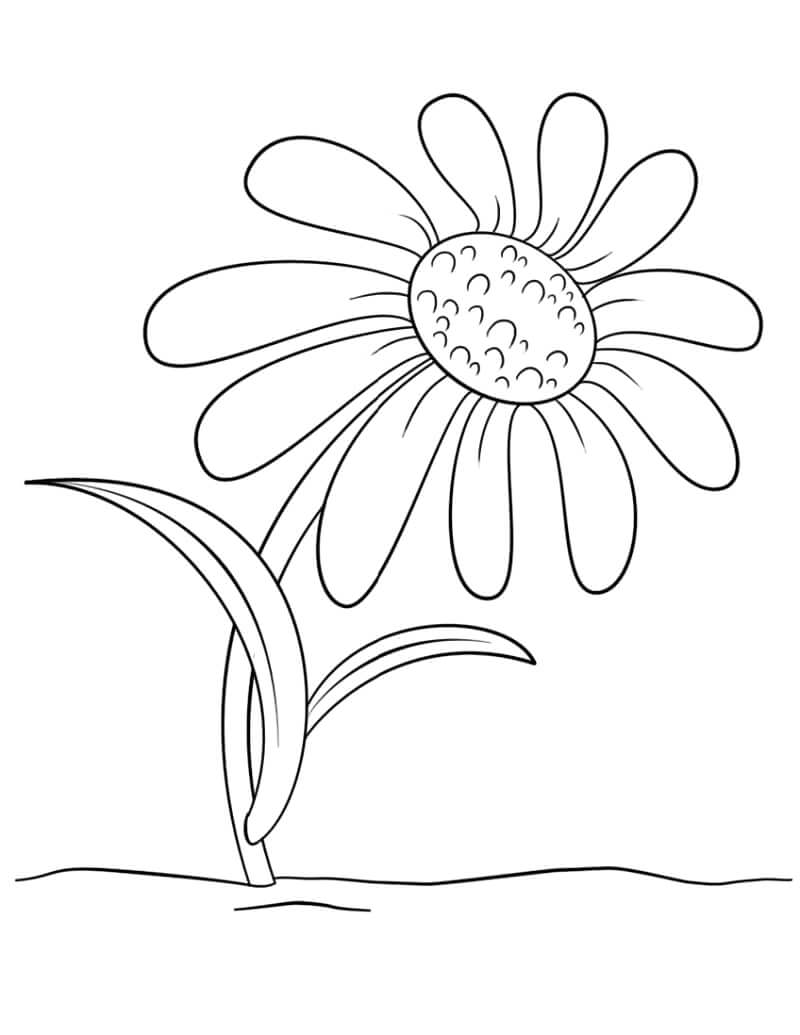 Desenhos de Desenho animado de Margarida para colorir
