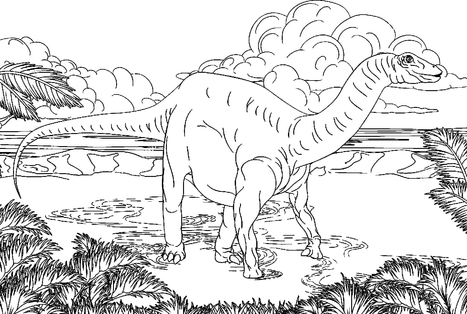 Desenho de dinossauro para colorir