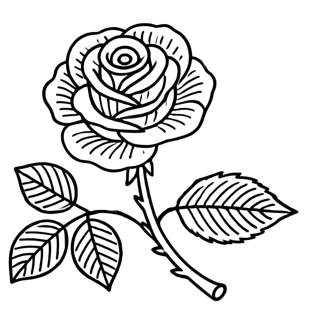 Desenhos de Desenhos rosas imprimir para colorir