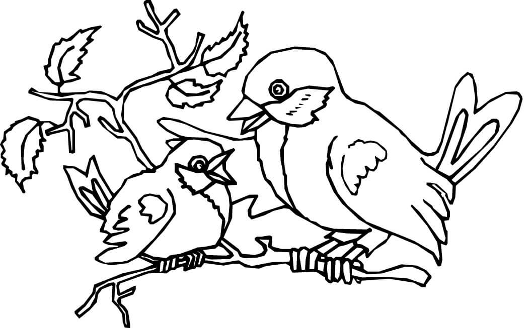 Desenhos de Dois Pássaros Fofos para colorir