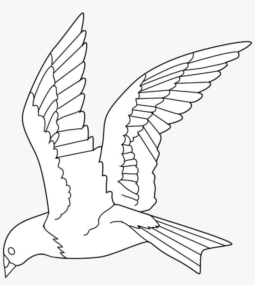 Desenhos de Excelente Pássaro para colorir