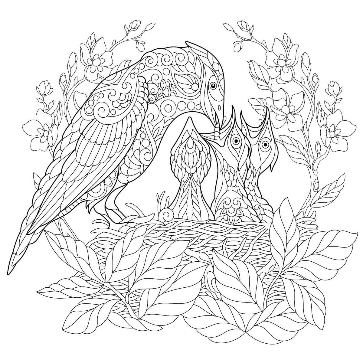 Desenhos de Família Pássaros Mandala para colorir