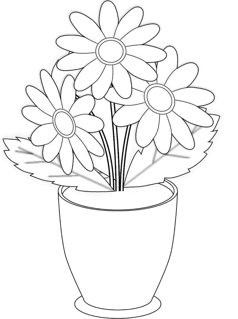 Desenhos de Flores de camomila num jarro para colorir