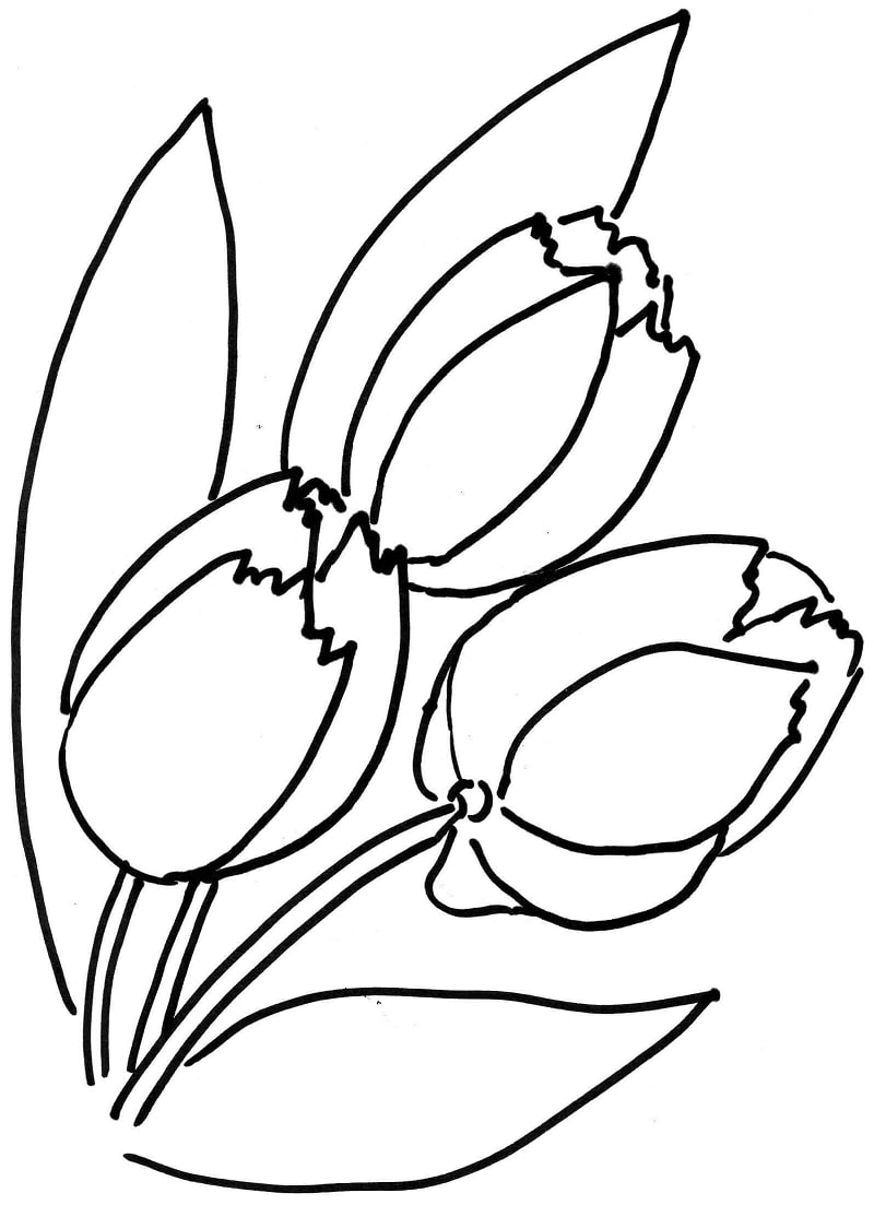 Flores de tulipa para colorir