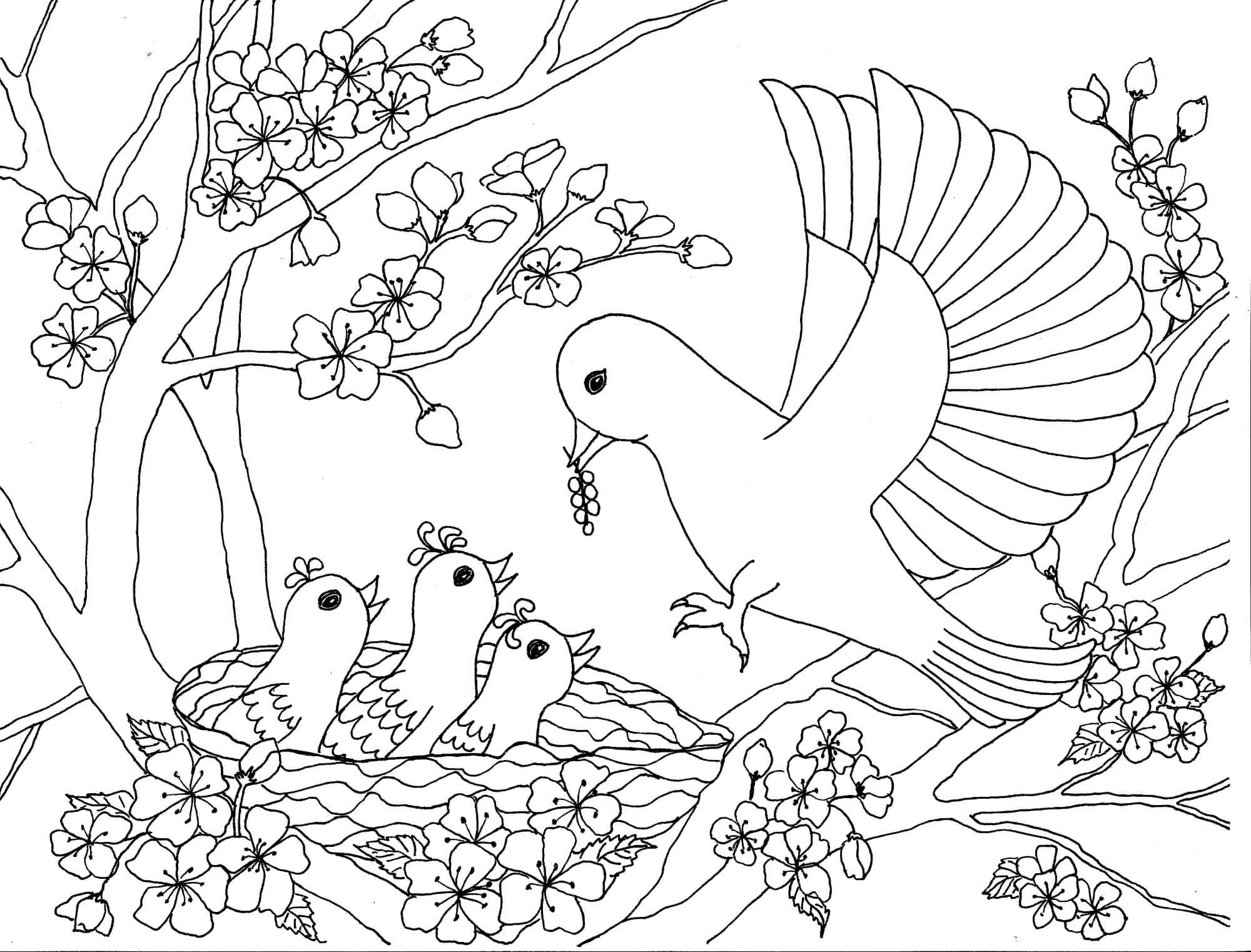 Mãe Pássaro e Filhotes para colorir