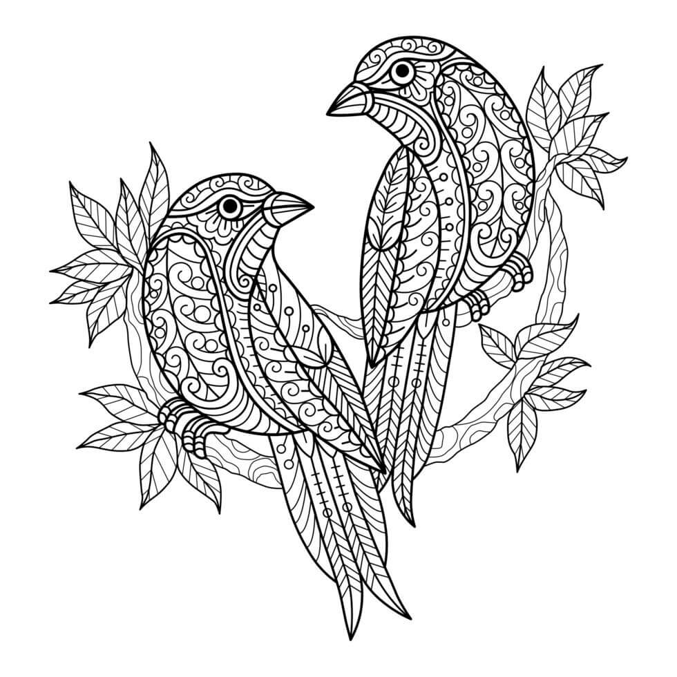 Desenhos de Mandala de dois Pássaros para colorir