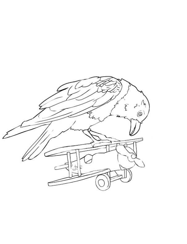 Desenhos de Pássaro Águia em pé no Jato para colorir