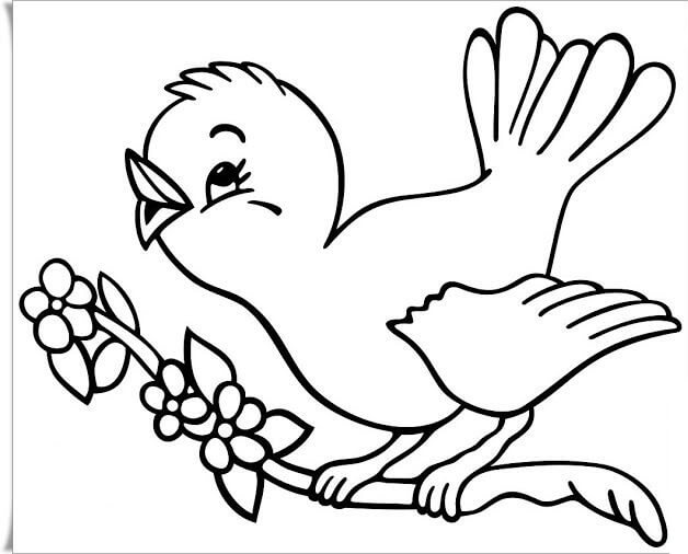 Desenhos de Pássaro Fofo em pé no Galho de Árvore para colorir