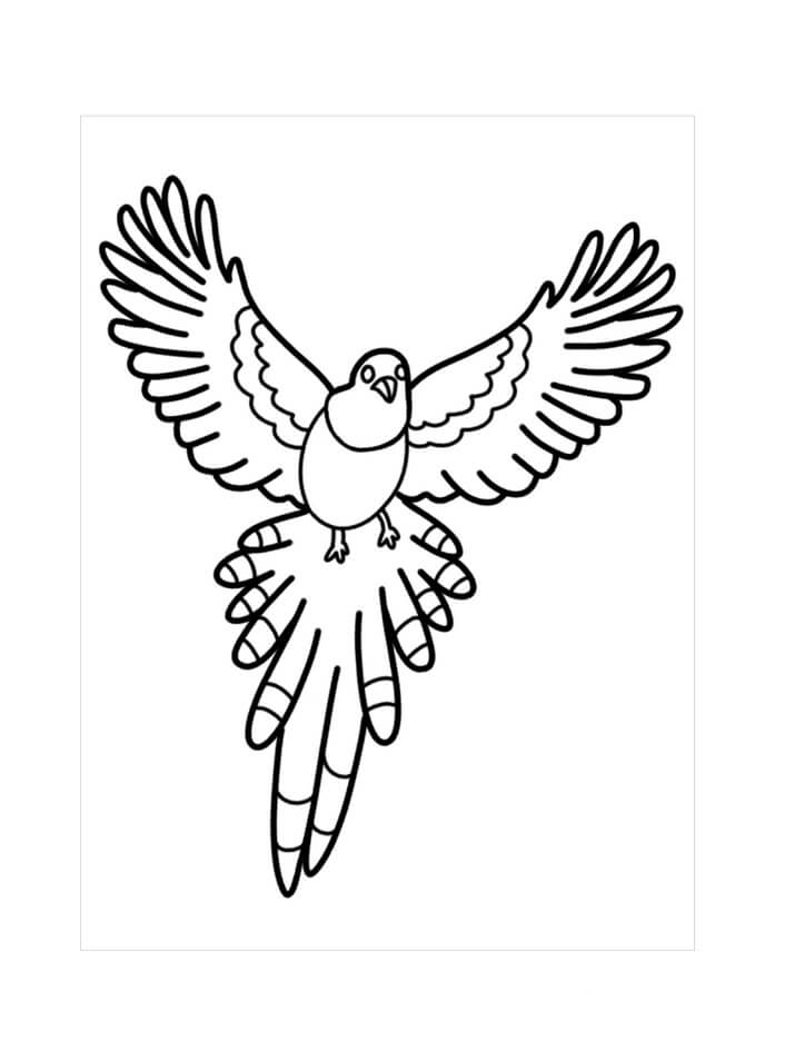 Desenhos de Pássaro Voando para colorir