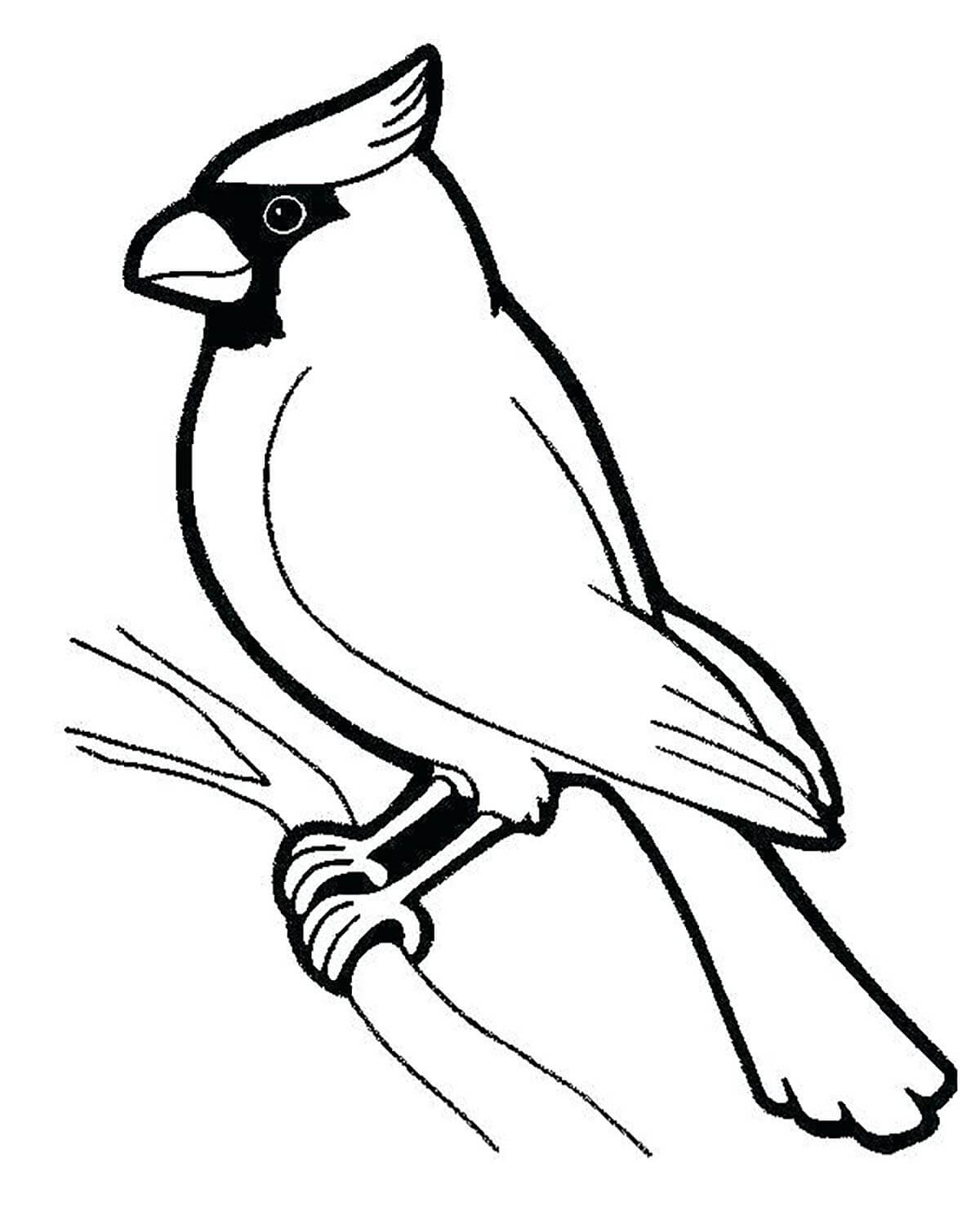 Desenhos de Pássaro para Impressão para colorir