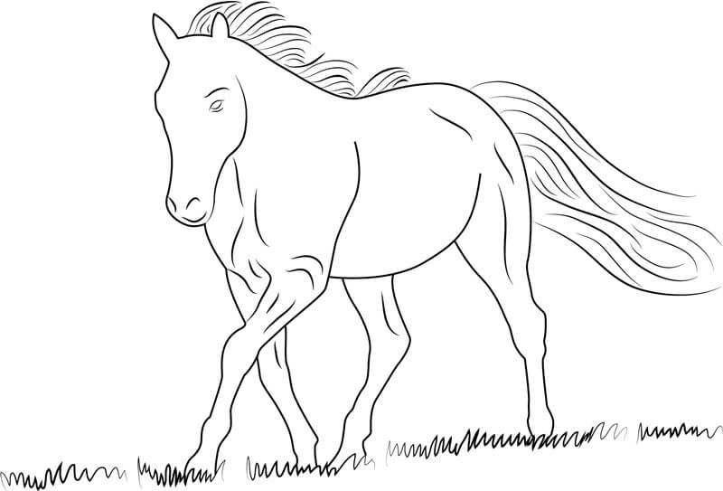 Desenhos de Passeio a Cavalo para colorir