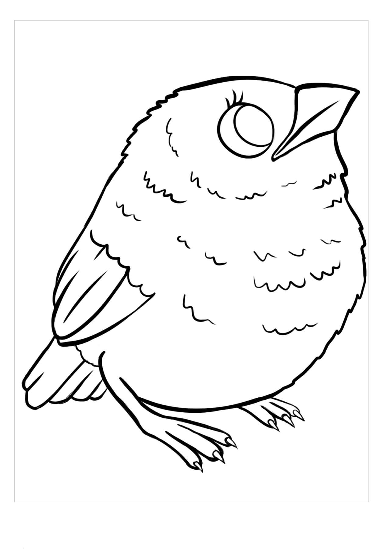 Desenhos de Pequeno Pássaro para colorir