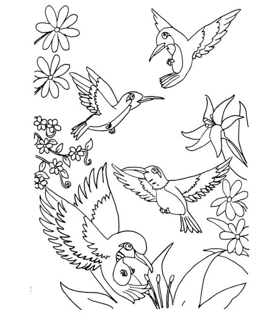Desenhos de Quatro Beija-Flores Voando para colorir