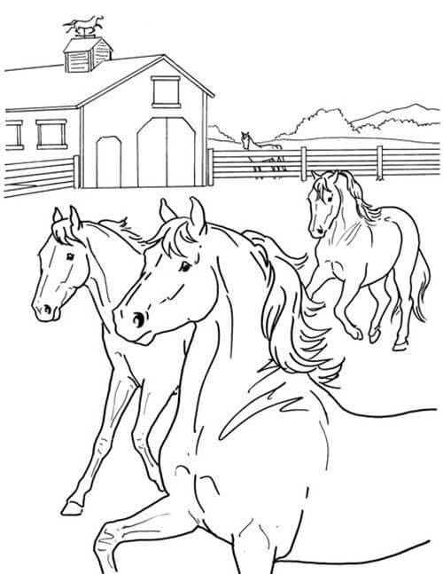 Desenhos de Quatro Cavalos no Estábulo para colorir