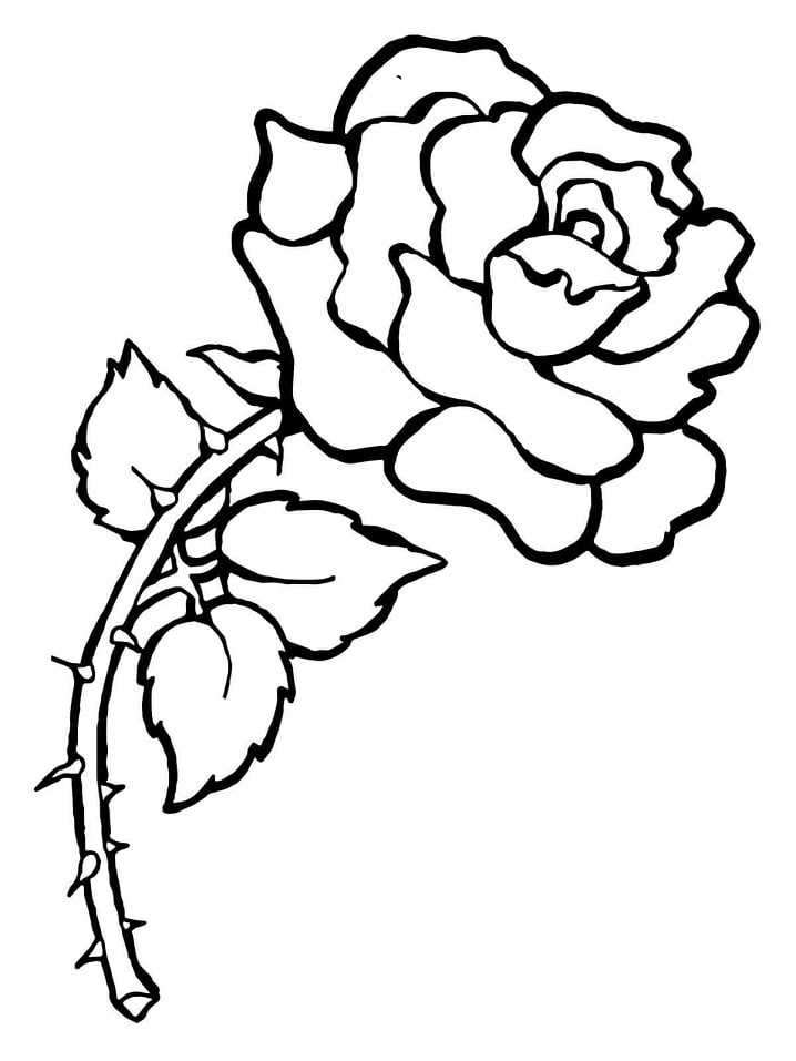 Desenhos de Rosa com espinhos para colorir